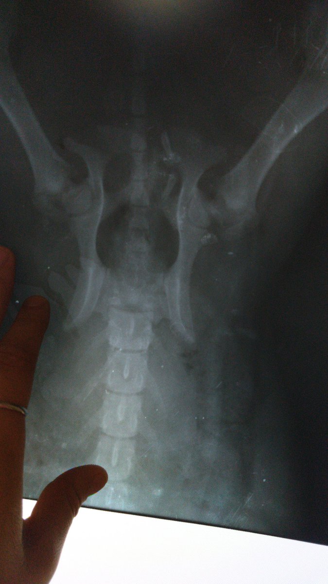 ғ ʟ ᴏ ʀ ᴇ ɴ ᴄ ɪ ᴀ 💫 tweet media