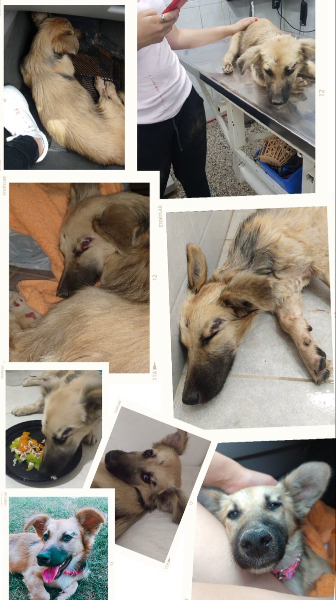 ғ ʟ ᴏ ʀ ᴇ ɴ ᴄ ɪ ᴀ 💫 tweet media