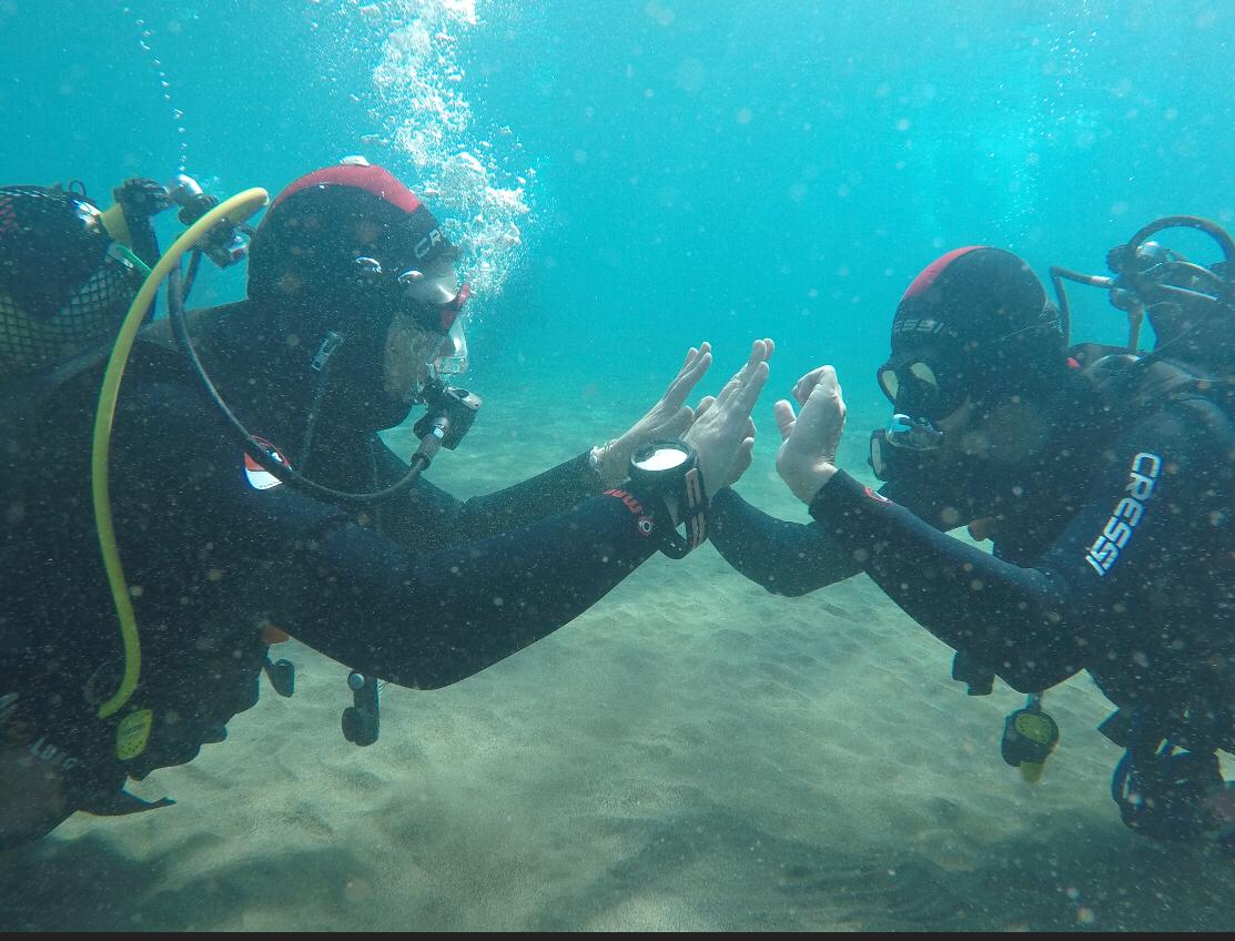 CarDodorico's tweet photo. #Lanzarote #buceo #diving https://t.co/R74x6XfHTq