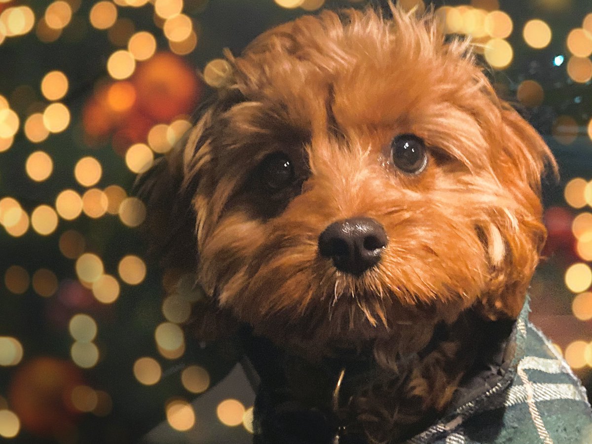 Erica Deel tweet media