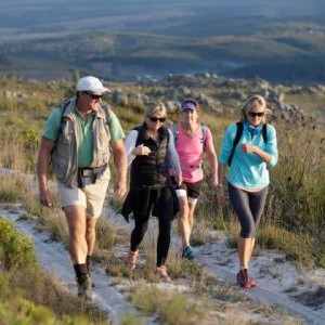 ExperienceElgin's tweet photo. Join #BlueMountainTrails for a 3 day guided slack-packing hike through the Kogelberg Nature Reserve! Experience warm hospitality, luxurious accommodation, seriously #CoolClimateWine & delicious food!
To find out more, visit https://t.co/exMq2B4axj
#ExperienceElgin #StayElgin https://t.co/g23QrLLzfO