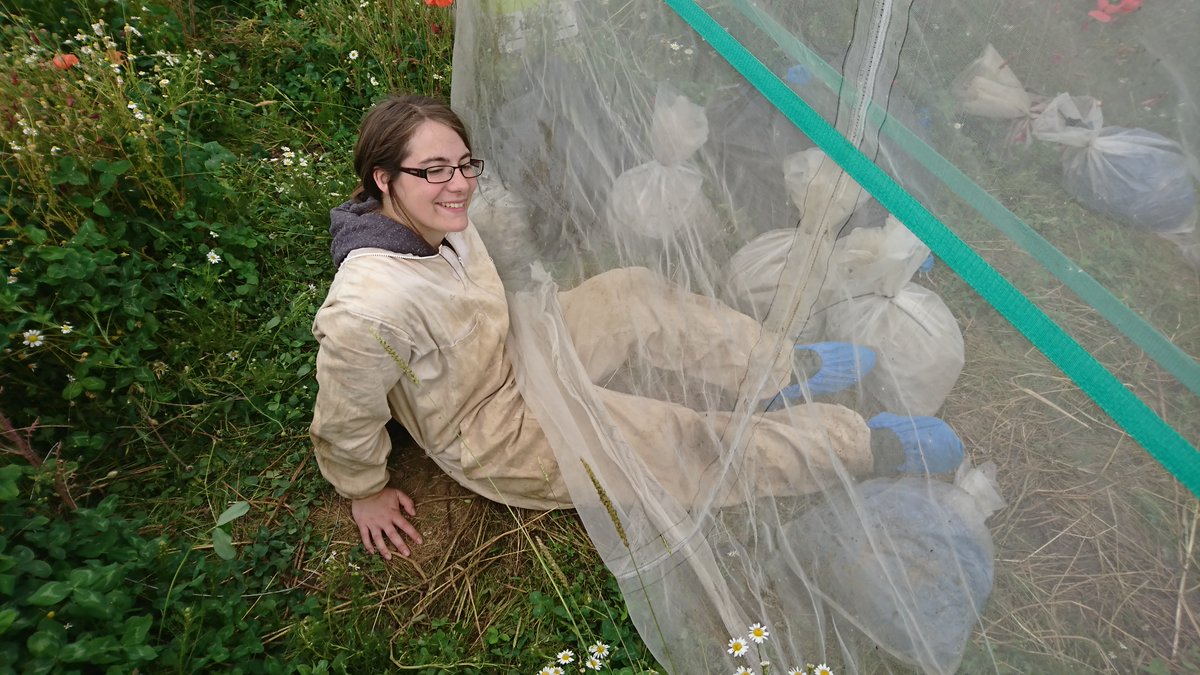 Emily Bailes tweet media