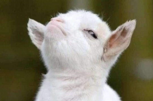 banele_bm's tweet image. Ungbhekan👀?
Ungfanisa noban wakini?