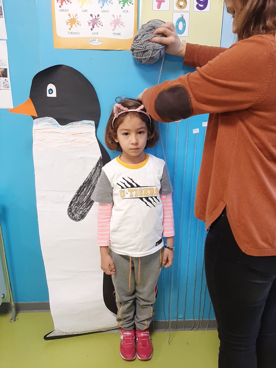 İmparator Penguenin gerçek boyu ve bizim boyumuzu karşılaştırdık 🐧