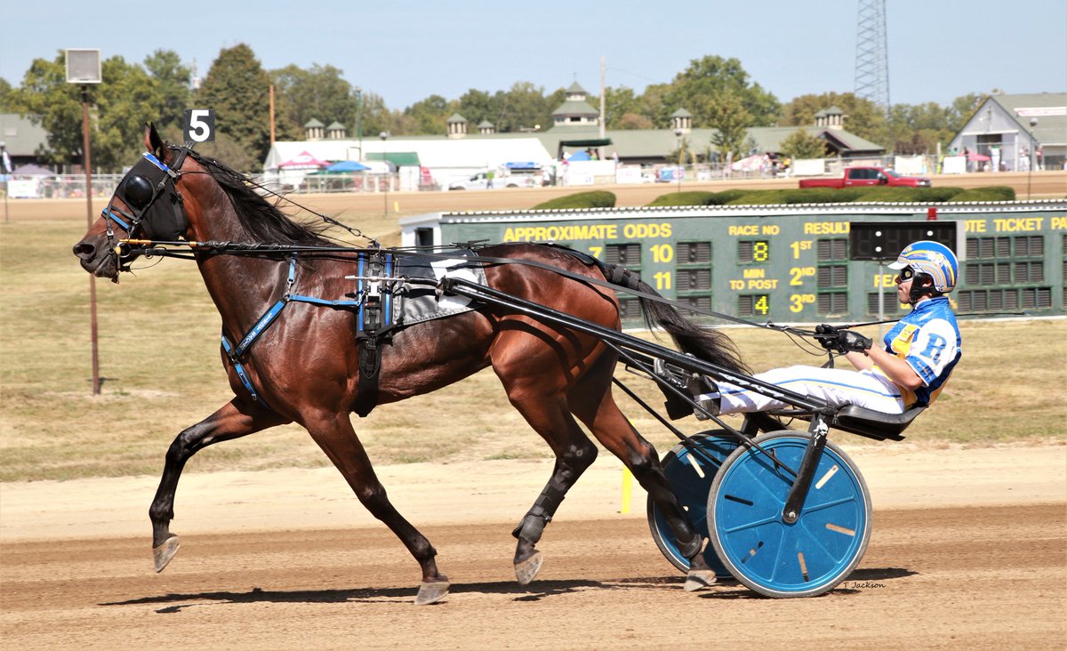 hoosiernations's tweet photo. Good Morning @Chris_wponies @JoannKi32885615 @rebelsart @kimberlymoier @KathleenBaitzel @joe_norte @elliotgordon2 @vnssa926 @SadandSulk @swiftrunterrier @MohawkMarkM @Ralphie9 @dolenski_john @gocashking @BradA53472906 @battlecrazewu @KFrnch  #UnionForce #LouisRoy https://t.co/eEGlGcnf5M