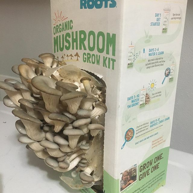 Katie White tweet media