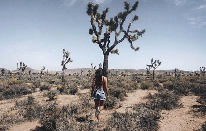 thependletonsx's tweet photo. people criticized you because they didn't like what's new and unique. amidst all the chaos, you chose YOU. you deserve all the love in the world and if people will ask me to name all the beautiful things I know, your name will be on the top. yes, Nadine.

#SuicideIsNotAJokeJobert https://t.co/b97TbBKswV