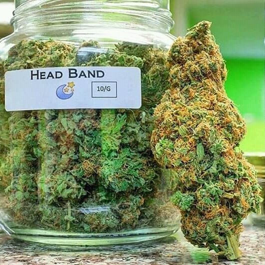 CWeed15's tweet photo. #marijuanamodel #marijuanaphotosubmission #marijuanaart #marijuanaedibles #marijuanalife #marijuanagrowers #marijuanalove  #marijuanababes #marijuanaman # #marijuanaclub #marijuanas #marijuanalovers #marijuana420 #marijuanagirls #marijuanaindustry #marijuanaculture #marijuanaporn https://t.co/V7TONMZtX0