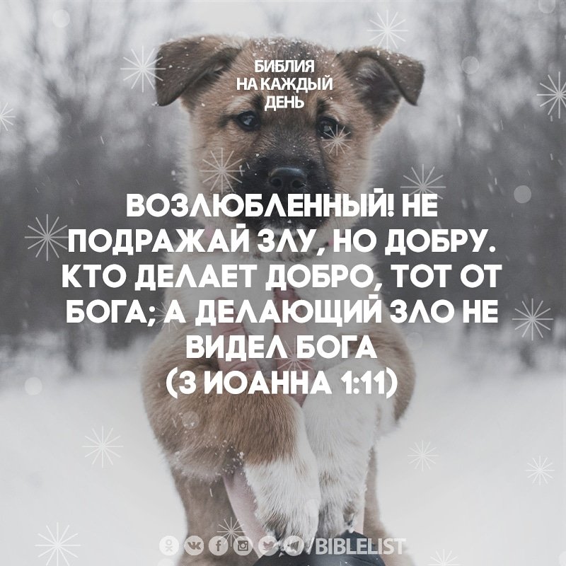 Бог желает добро. Не подражай злу но добру кто. Возлюбленные не подражайте злу но добру. Возлюбленный не подражай злу но добру кто.