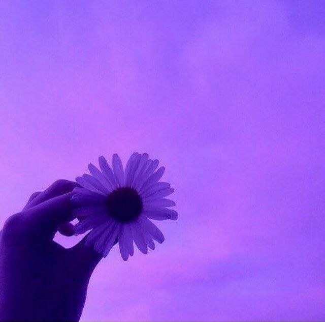 reasonseungjin's tweet photo. :¨·.·¨:  
 ` .. ➸ 𝐎𝐮𝐫 𝐥𝐢𝐭𝐭𝐥𝐞 𝐬𝐭𝐚𝐫𝐬 ✧ ཻུ۪۪❦
      ↬ 𝐈 𝐥𝐨𝐯𝐞 𝐲𝐨𝐮 𝐬𝐨 𝐦𝐮𝐜𝐡 𝐥𝐢𝐱 ੈ✩‧₊
#stayselcaday #SSD #StrayKids #스트레이키즈 @Stray_Kids https://t.co/CC2mtW7Fpw
