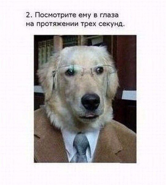 w_humor's tweet photo. Магия фокусов)))🤣 #БелыйЮмор https://t.co/1hNN1isBsM