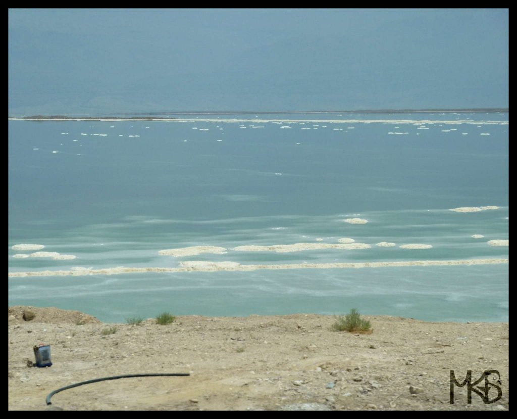 TRockhopper's tweet photo. #DeadSea #SaltSea #MorzeMartwe #Israel #WestBank #Jordan #TravelBlog #TravelRockhopper https://t.co/r9yc3eUUpD https://t.co/7rwTyFktsF