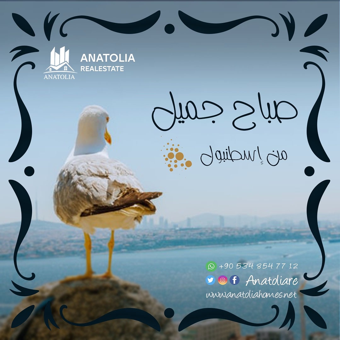 🍂اشراقة صباح جميل من إسطنبول .
🥀صباح الخير .... #عقارات_الأناضول #شقق #أراضي #فلل #للبيع #للإيجار #شراء 
#إسطنبول #يلوا #چنارجك #بورصا #سكاريا #انطاليا #الأنيا #سامسون #طرابزون #أنقرة #تكيرداغ 
#mısır #dubai #kuveyt #Qatar #irak  #SuudiArabistan 
#العراق #مصر #قطر #الكويت