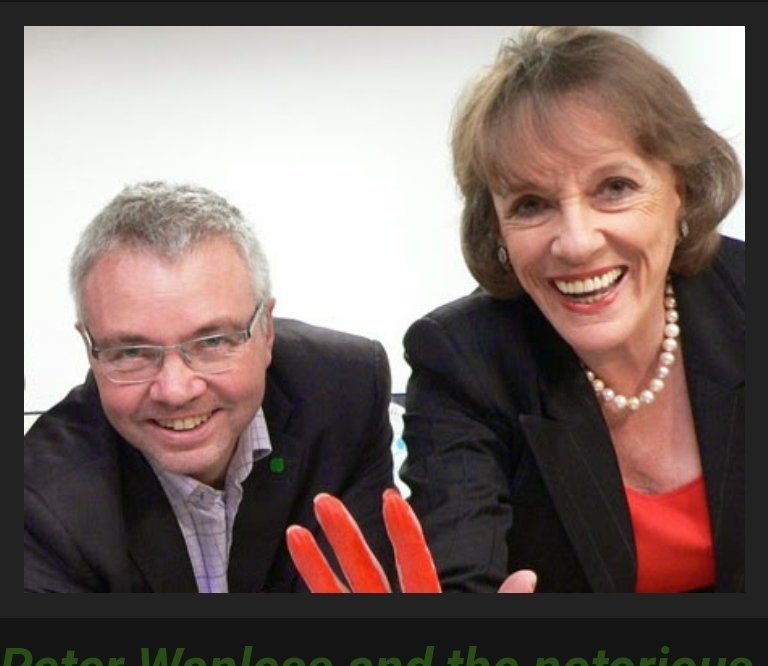 So how did John Hemming know exactly where to look for those files after such a thorough search behind radiators and skirting boards and under carpets by Peter Wanless, former PPS to Michael Portillo and CEO at NSPCC?  https://cathyfox.wordpress.com/2017/03/11/observer-1994-nov-13-knives-out-for-portillo-protege-peter-wanless/