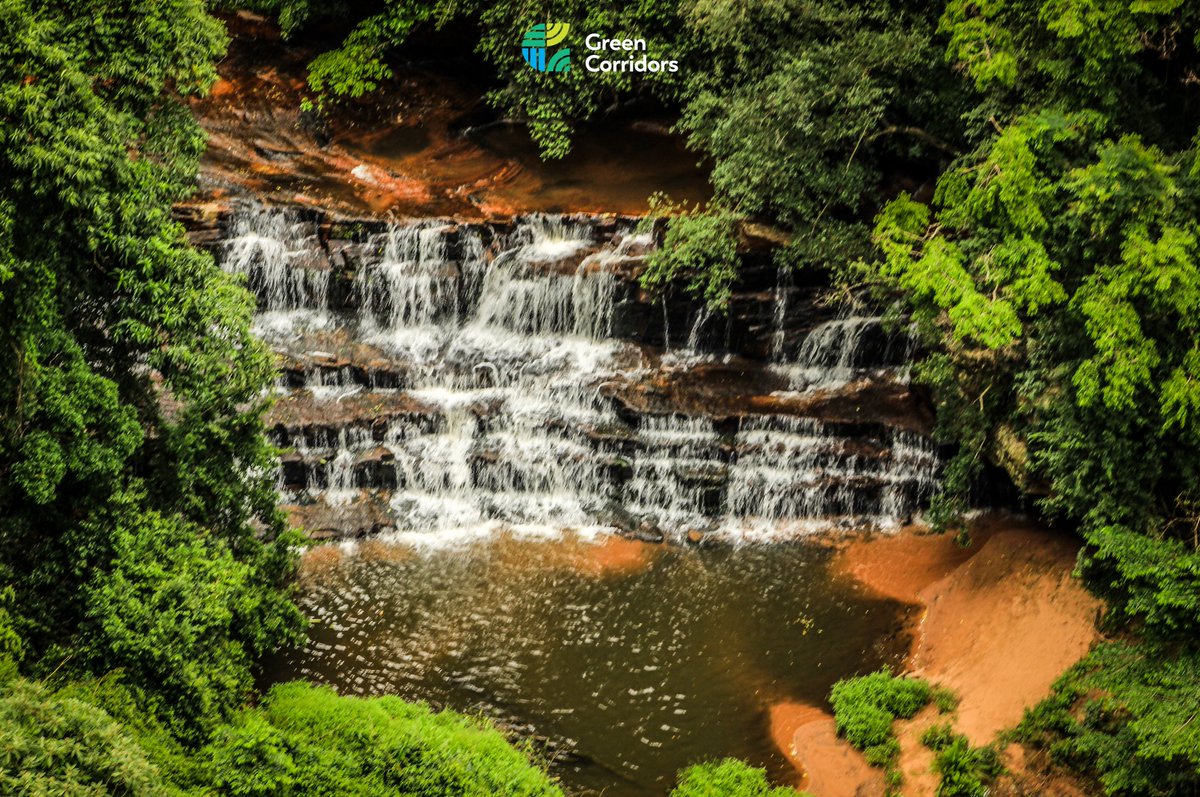 Green_Corridors's tweet photo. This spectacular Waterfalls Tour is one of Not To Be Missed outdoor experience in Durban.  Book your seat now on our Shuttle Bus now for only R250. 

📸 By @Freedom_Mngoma
#waterfalls #greencorridors #durban #TravelChatSA #travelling #traveltips #travelblogger #durbanhasmore https://t.co/H0x1cDHC9k