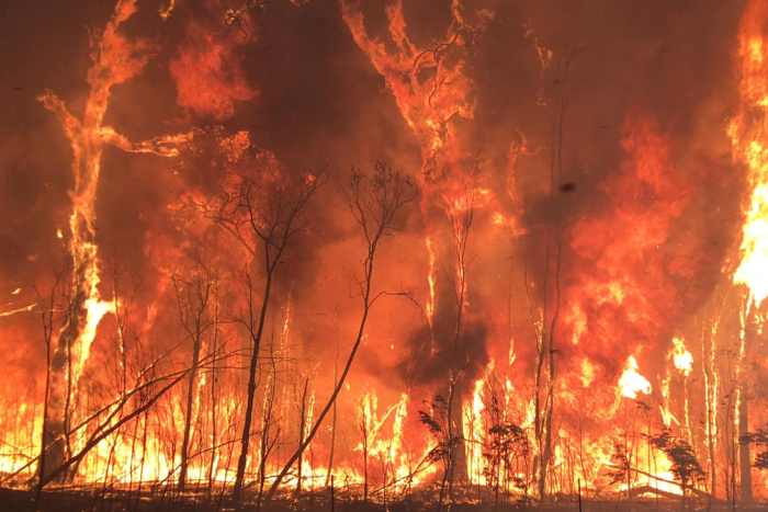 CatalystIpswich's tweet photo. Who’s to blame for the Aussie bush fires? https://t.co/za63MUnZ1j https://t.co/OUiCC5Jh29