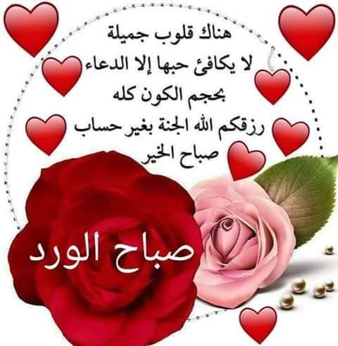 .الدكتورة ملكة للطب البديل والأعشاب لجميع الامراض (@d_ratiba) on Twitter photo 