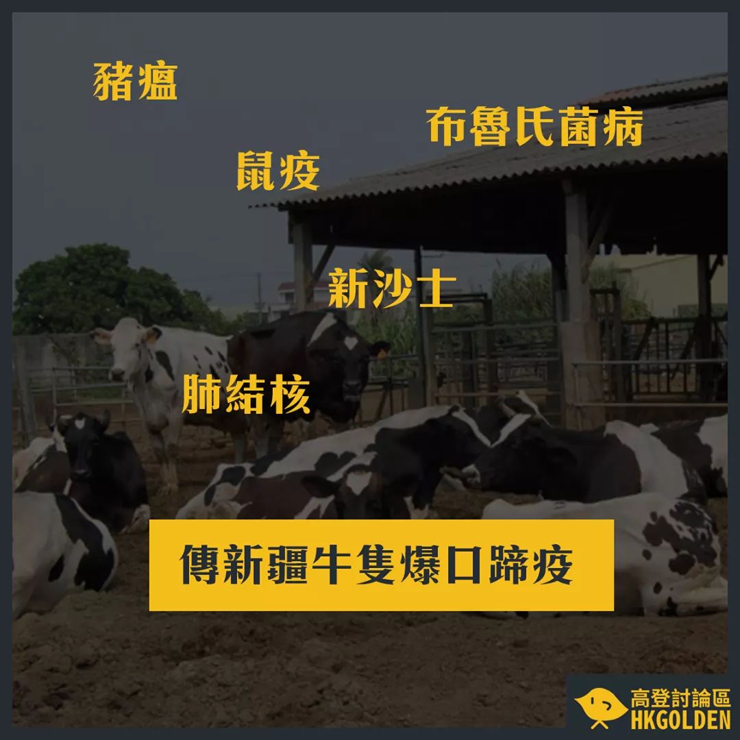 G_Jin_orz's tweet photo. 😨 又有？
大家有無收到消息
支国真係要準備食草？ https://t.co/dEDyFtpdAV