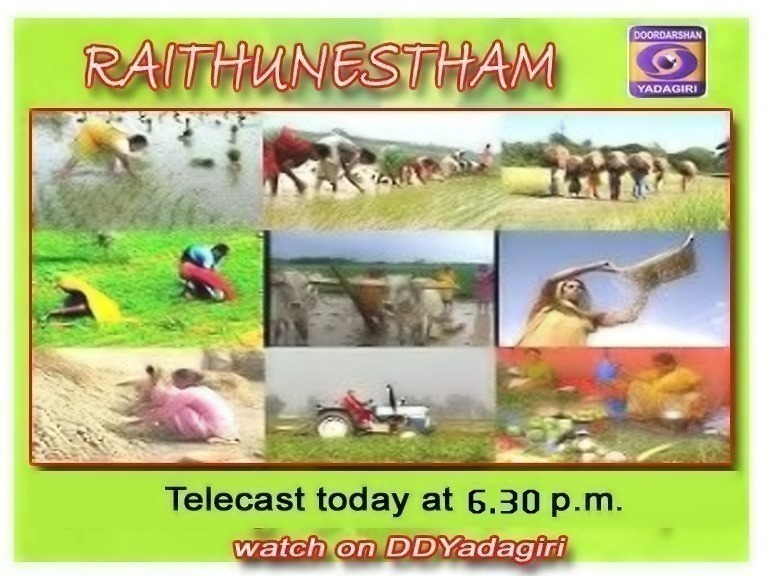 DDYadagiri's tweet photo. #Raithunestam Programme : Telecast today at 6.30 p.m. in @DDYadagiri channel https://t.co/6tC9VYFfYk