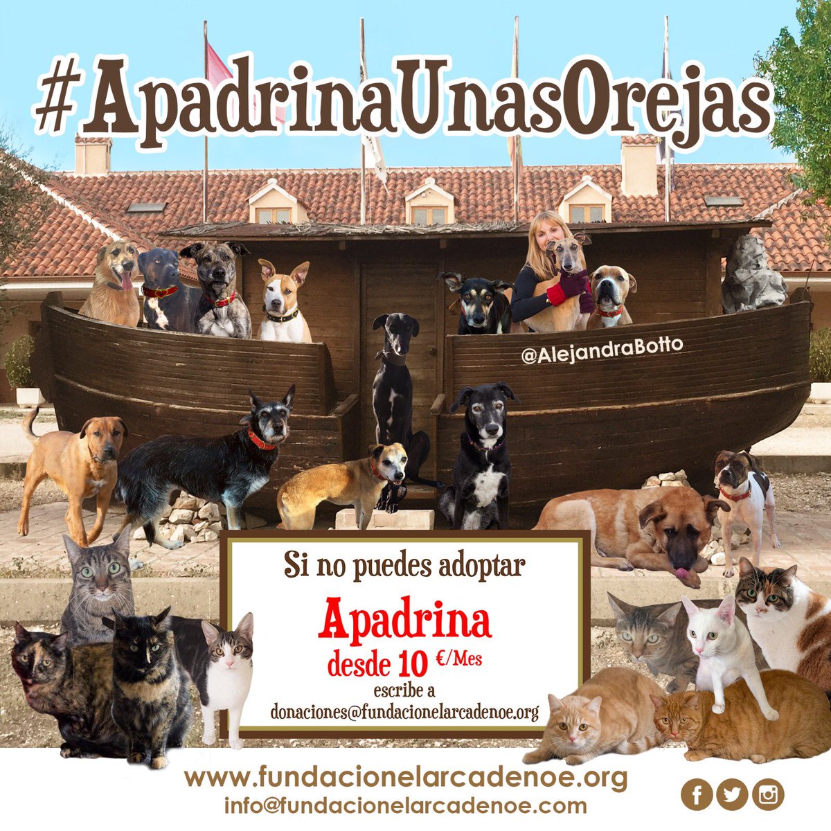 fundarcanoe's tweet photo. Muchos se van pero los más abuelos , enfermos y los llamados #perrosinvisibles se quedan y otros llegan ..quieres apadrinarlos? #buscalos en nuestra web y anímate a #apadrinar alguno de ellos y así podrás visitarle de vez en cuando para hacerles sentir que hay alguien ahí fuera https://t.co/RgNtp2Bzq5