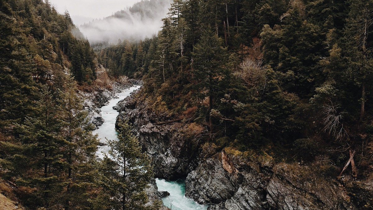 StarterSquad's tweet photo. Is reducing your environmental footprint one of your new year's resolutions? Choosing to work remotely can help: https://t.co/2ftfNXPLL3 #startups #remotework #sustainability https://t.co/wd4g0dPJ7A