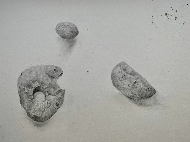 cydski's tweet photo. Observational rock drawing Ruskin style thanks to @kateriewing tutorial on Patreon #graphitedrawing #katerisdandelionsonpatreon #ruskin #observationaldrawing #nature https://t.co/y6CCifTtWp https://t.co/CKKmMRGjko