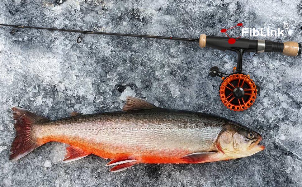 FiblinkFishing's tweet photo. Fiblink Ice Fishing Rod 1 Piece Portable Travel Ice Fishing Pole Solid Carbon Ice Rod with Twist-Lock Reel Seats for Walleye Perch Crappie Pike Trout
#fishing #rod #ice #icerod #icefishing #winter #fishinglife
https://t.co/ton2JzECaJ https://t.co/ou3B5UpaGs