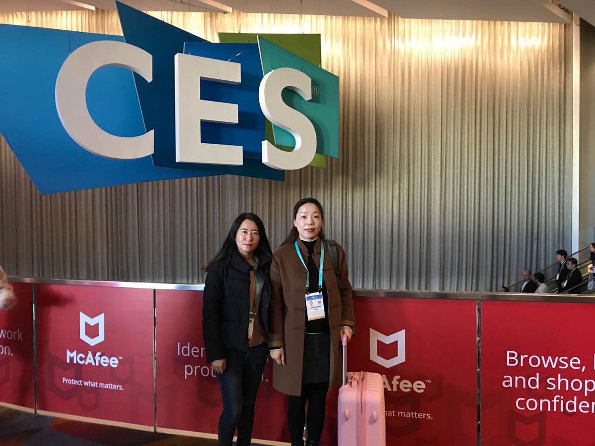 VisionMounts's tweet image. 👉👉Welcome visit both #42574 at the Sands.#CES2020