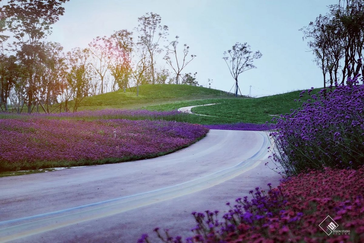 Chengdu_China's tweet photo. The 2019 #Chengdu Top 10 Architecture Spaces—Chengdu Tianfu Greenway 
🌲🌲🌲
The Tianfu Greenway Network, with a total length of over 17, 000 kilometers is planned to be completed by 2040.#InChengdu #VibrantChengdu https://t.co/yQhhvhILGf