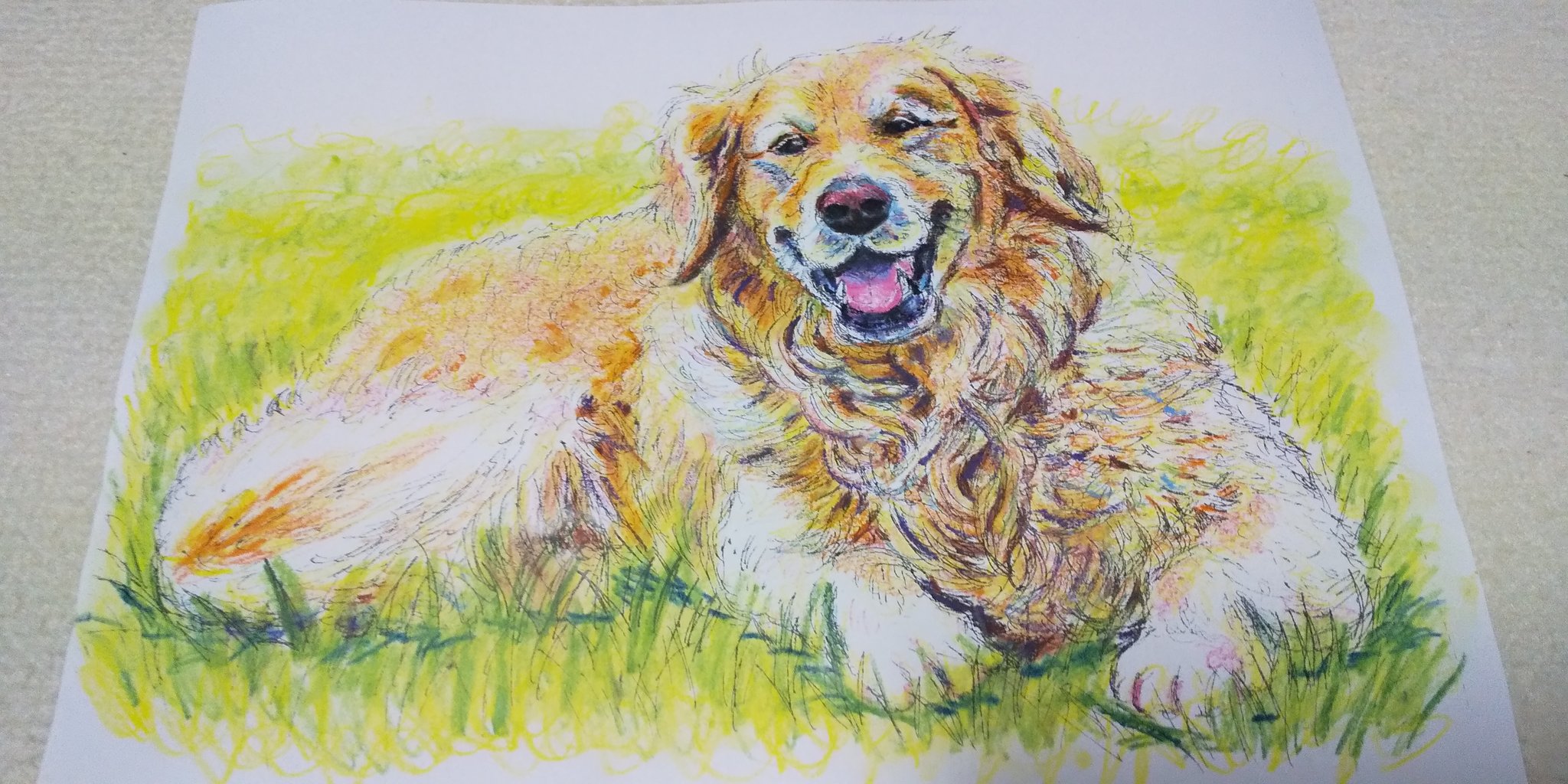 ট ইট র ギャラリーねこい 亀田イオンで毎月第3水曜日にぬりえ教室をします 本日のイラスト 小学校のひまわりクラブさんでは今年初の出張水彩色鉛筆ぬりえ教室を行って来ました リクエストのワンちゃん達です 予想よりバラの背景が大変なぬりえを頑張って