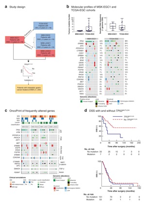 BJS (@bjsurgery) on Twitter photo In January's BJS: Poor survival after resection of early gastric cancer: extremes of survivorship analysis reveal distinct genomic profile ow.ly/xEjw30q7rY3 <a href="/JJEarnshaw/">Jonothan Earnshaw</a> <a href="/AmyLightnerMD/">Amy Lee Lightner, MD</a> <a href="/bplwijn/">Bas Wijnhoven</a> <a href="/des_winter/">Des Winter</a> <a href="/JohnBeynon5/">John Beynon</a> <a href="/ksoreide/">Kjetil Søreide</a> <a href="/MalinASund/">Malin Sund</a> <a href="/evanscolorectal/">Martyn Evans</a> <a href="/robhinchliffe1/">Robert Hinchliffe</a> In January's BJS: Poor survival after resection of early gastric cancer: extremes of survivorship analysis reveal distinct genomic profile ow.ly/xEjw30q7rY3 <a href="/JJEarnshaw/">Jonothan Earnshaw</a> <a href="/AmyLightnerMD/">Amy Lee Lightner, MD</a> <a href="/bplwijn/">Bas Wijnhoven</a> <a href="/des_winter/">Des Winter</a> <a href="/JohnBeynon5/">John Beynon</a> <a href="/ksoreide/">Kjetil Søreide</a> <a href="/MalinASund/">Malin Sund</a> <a href="/evanscolorectal/">Martyn Evans</a> <a href="/robhinchliffe1/">Robert Hinchliffe</a>