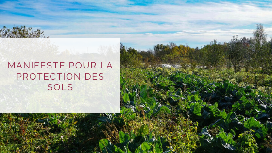 FoodAndCom_Tlse's tweet photo. Durant des décennies, nos sols agricoles ont été dégradés, considérés comme de simples supports au modèle agricole industriel. Ce modèle est plus que jamais à bannir. Manifeste pour la protection des #sols 🌱
https://t.co/HtawplipLL https://t.co/AfQYRgNM6c