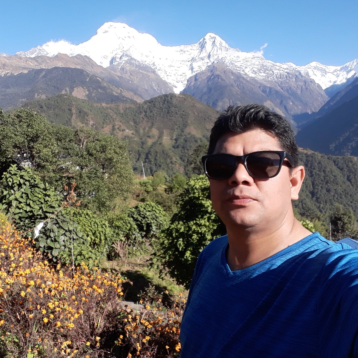 yesitislong's tweet photo. घान्द्रुकमा है गाईच ।। https://t.co/mrn8cfrLle