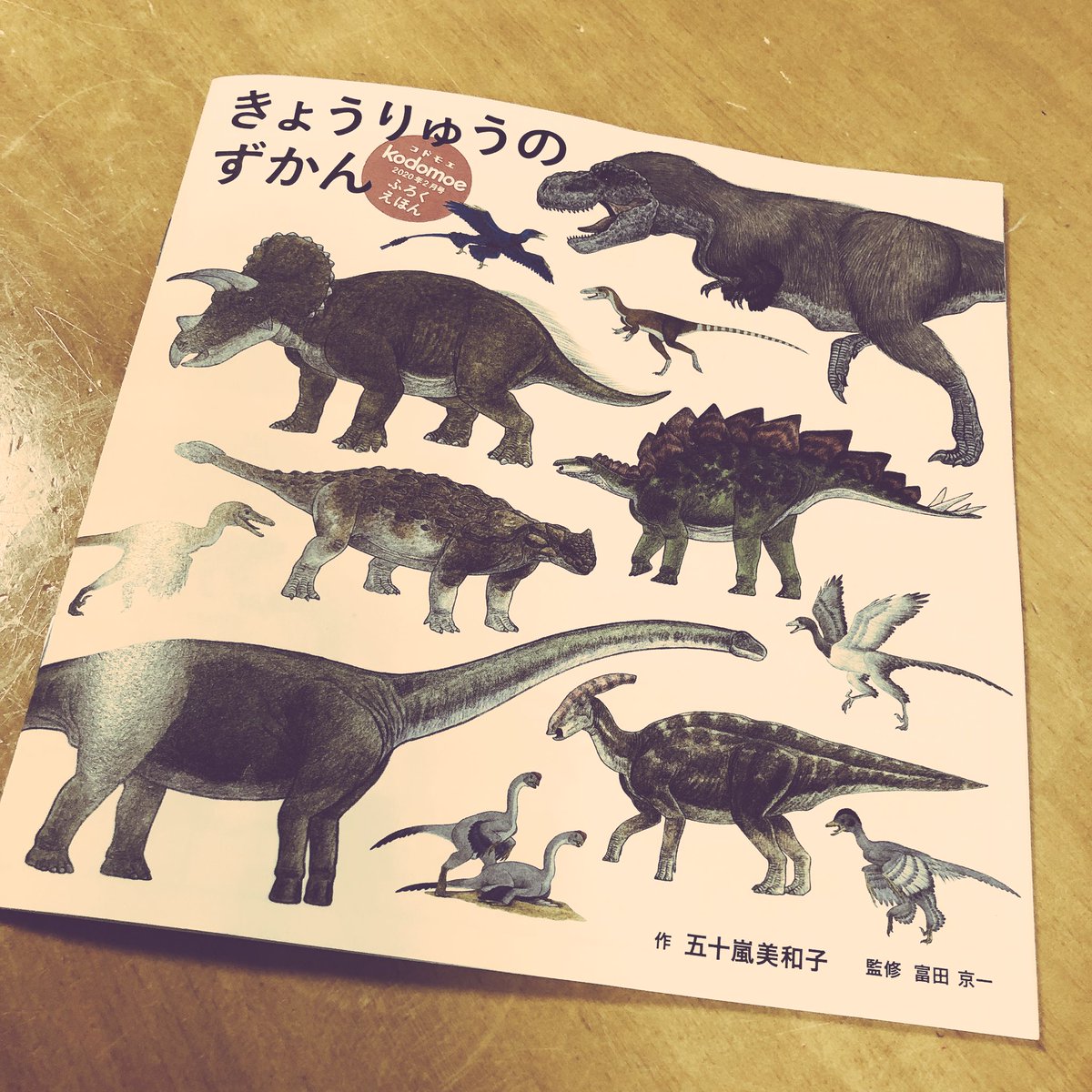 kodomoe届いた!きょうりゅうのずかん、楽しみにしてたんだよね〜? 