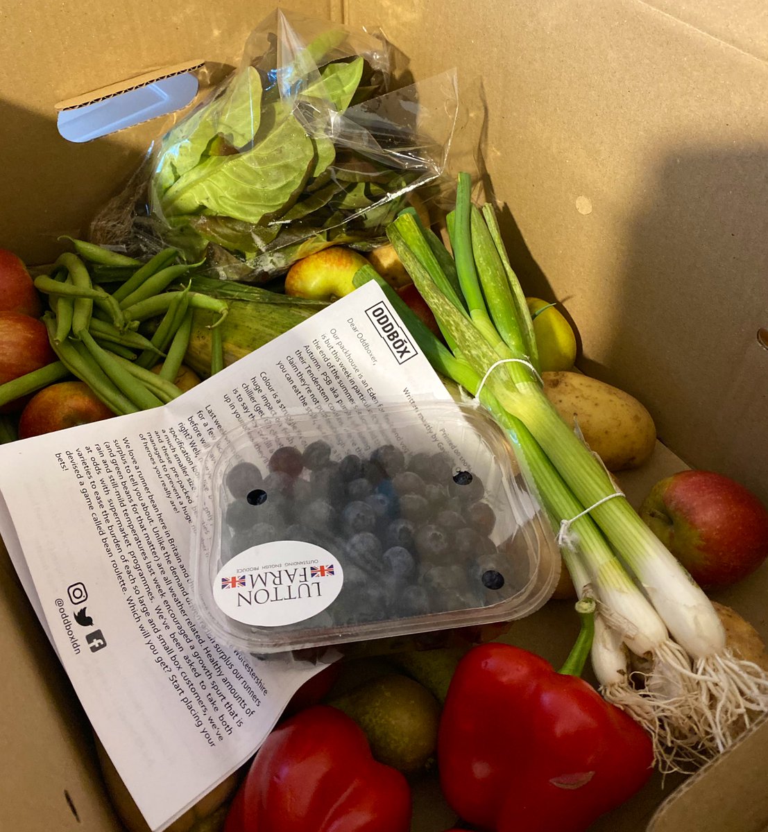 Last year I signed up to @OddboxLDN which lets me help reduce food waste and eat more healthily. If you’re looking for an easy way to hit your New Years resolutions, use REF5 and my name at checkout for £5 off