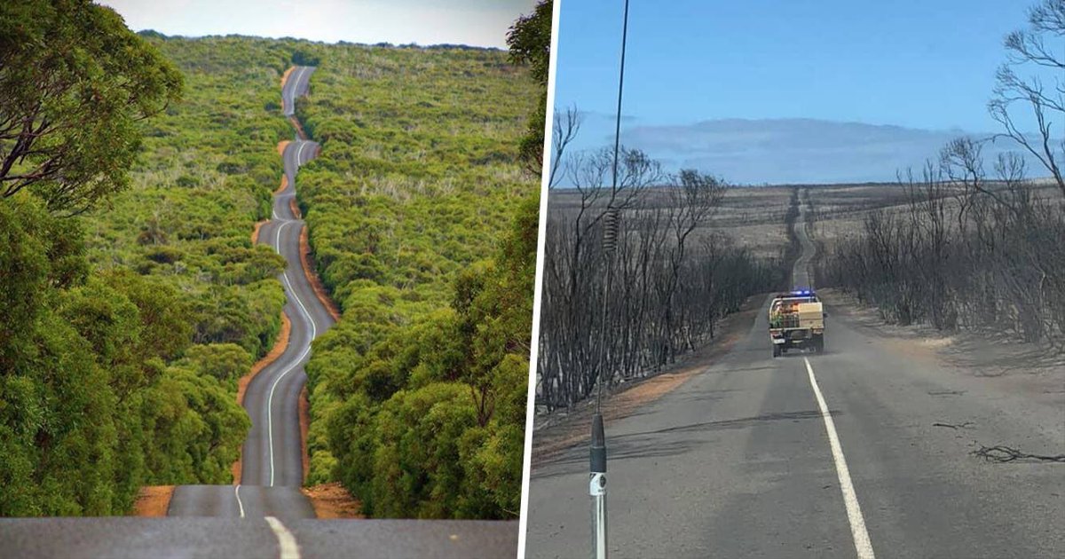 Fresh's tweet image. Before and after the bushfire in Aus... crazy.