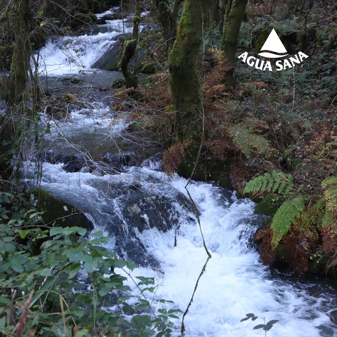 La increíble riqueza natural de Val Miñor 😍😍 nos deja más que claro que el agua es vida☘🌿☘🍃.
.
Mantente hidratado con Agua Sana🍶🍶. Somos agua baja en sodio par todas las edades.
.
#aguasana #belesar #valmiñor #bajaensodio #salud #hidrátate #sitiosconencanto #disfruta