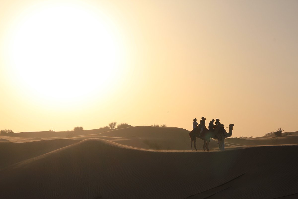 The most reliable and exciting approach to explore the #Dubaidesert. Be sure to enjoy it with #orienttours.  

#dubai #desert #travel #explore #discover #camels #destinations #dubaitravels #uaetrips #memorablevacations #outdoors #travellers #travelling #magicalsunsets #sunsets