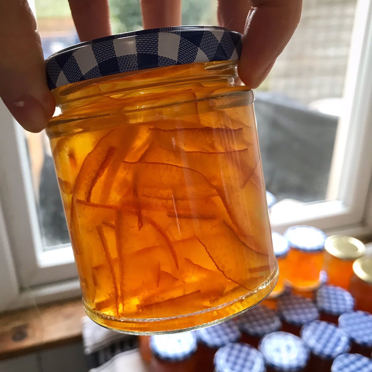 Our first preserving workshop will be on Sunday 19th January at 12 noon, at BJP HQ (BS7) and we’ll be making #MARMALADE! 
Fancy it (or for more info) DM or email hello@bristoljamplan.co.uk Suggested donation of £10 to cover materials.