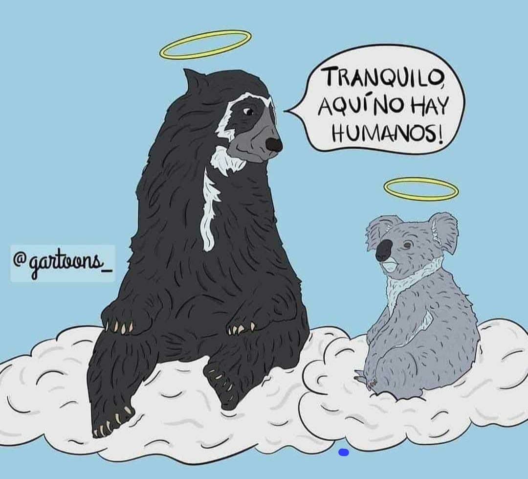 AVAstudillo's tweet photo. Sin comentarios 😶 https://t.co/A7XXdBg2Th