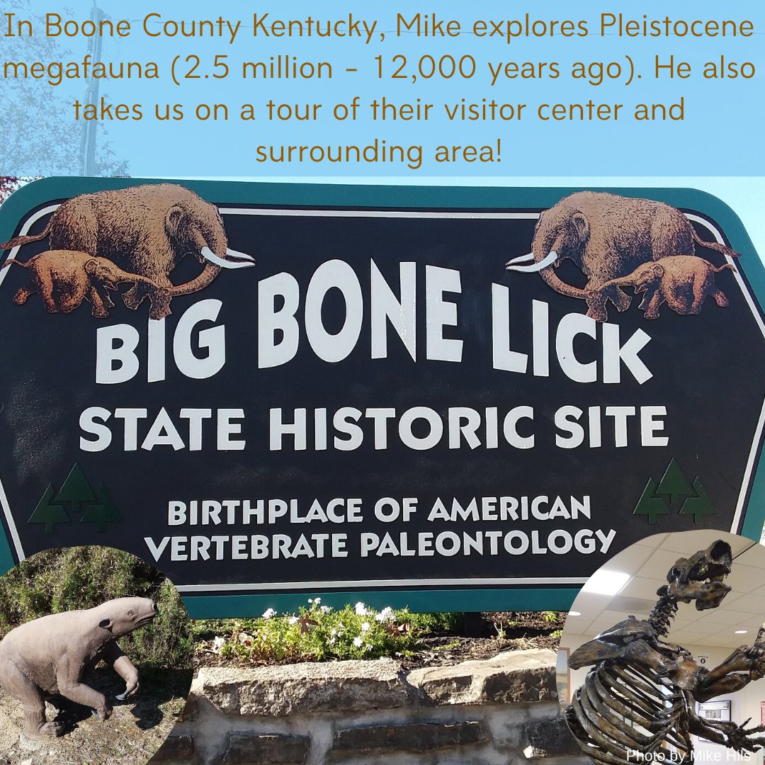 TimeScavengers's tweet image. #FieldExcursion w/ Mike to Boone Co., Kentucky where he explores Big Bone Lick State Historic Site. This location is home to #Pleistocene #megafauna like mastodons &amp;amp; the giant ground sloth. Explore this location w/ Mike by clicking the link: wp.me/p8kpy9-51Y #KYStateParks