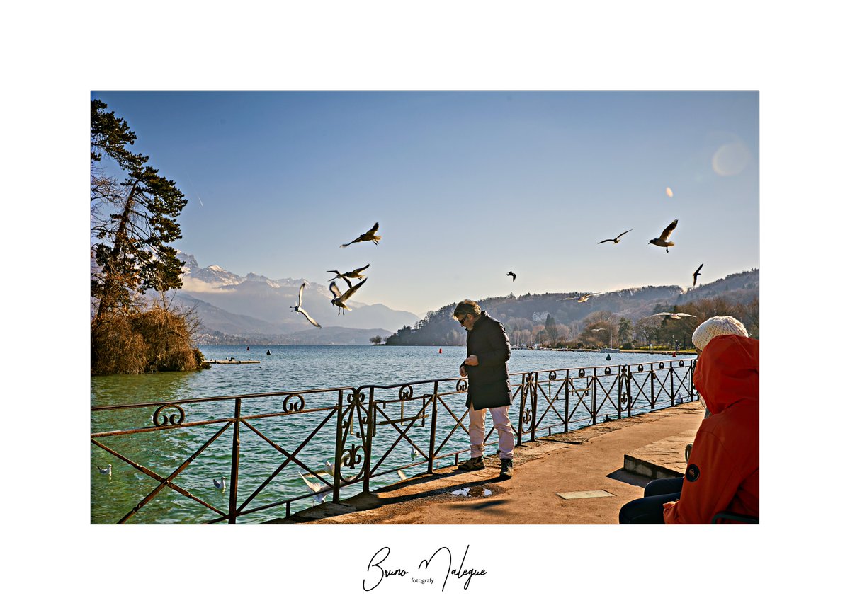 malegue's tweet photo. ANNECY …⁣
⁣#annecy @lac_annecy_tourisme ⁣
⁣#i_love_megeve_magazine #lejournaldemegeve #alps #alpes #hautesavoie #savoiemontblanc #savoie #legduma #malegue #ski #shopping #fashion #immobilier #megeve #megève #tourisme #skiprestige #skipro #skiexclusive #luxuryski https://t.co/SiP6KypD7c