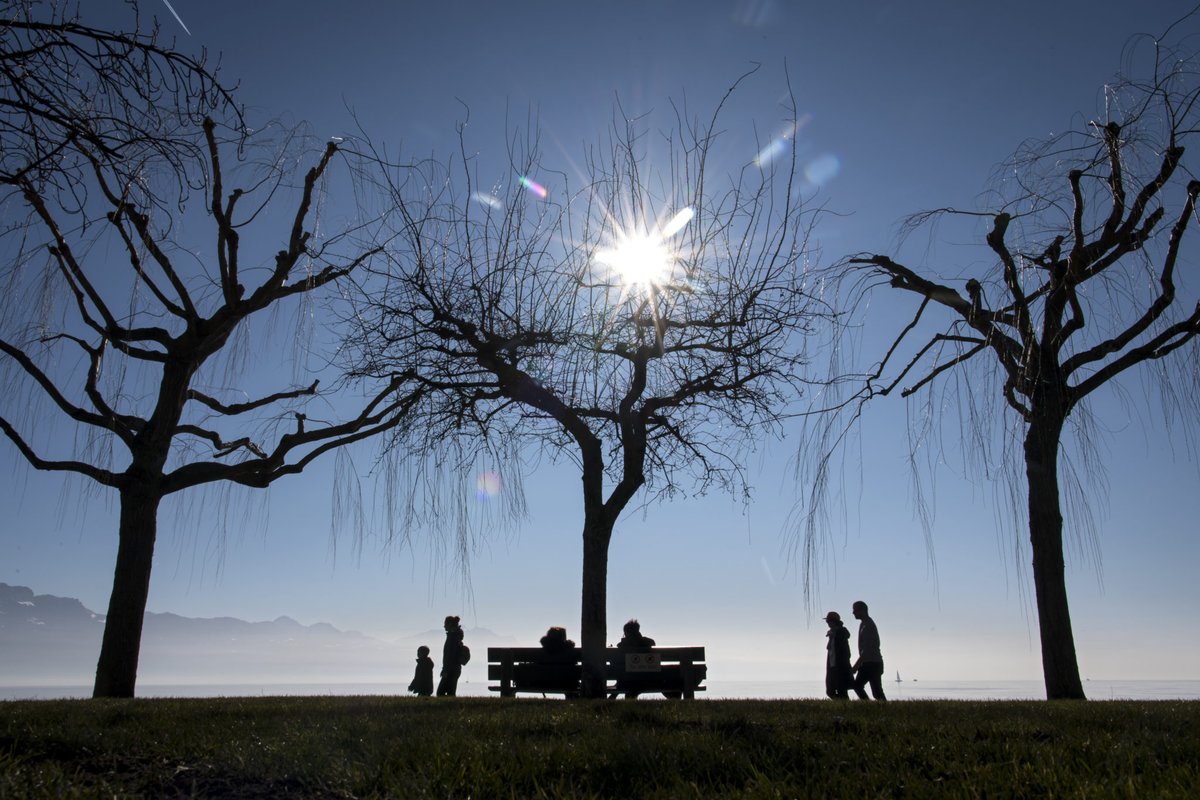 Telebasel's tweet image. #Europa hat #2019 das wärmste Jahr seit #Beginn der Aufzeichnungen erlebt. Weltweit habe es sich um das zweitwärmste #Jahr gehandelt.
bit.ly/2sOAp5O

#TBNews