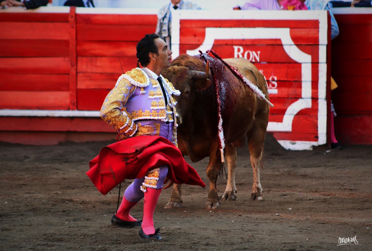 Prensa El CID tweet media