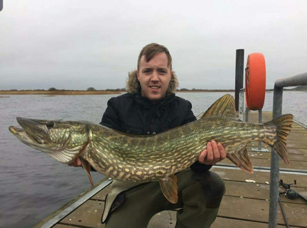 SspSide's tweet photo. 22.13 river pike stopped to a full mackerel deadbaited #deadbait #deadbaiting #pikefishing #piker #pike #bigpike #pikephoto #pikehunters #riverpike #fishinglife #lovefishing #northernpikes #northernpike #muskyfishing #muskyhunter #musky #irishpike https://t.co/oswAio6Gaw