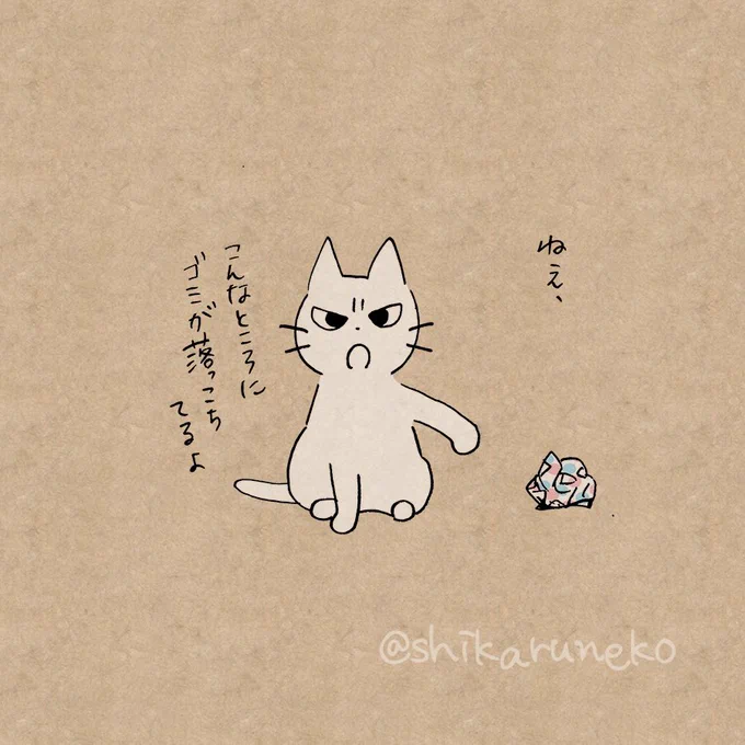部屋のあちこちにゴミを放置する人を叱ってくれる猫 