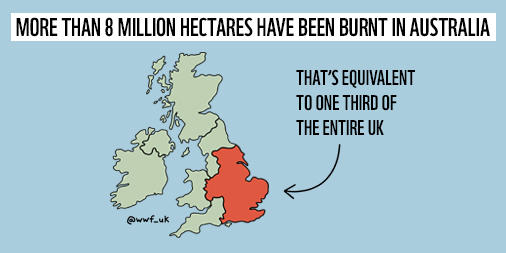 wwf_uk's tweet image. New figures from #Australia - and the fire season is yet to reach its peak.

Some perspective on what this looks like. 👇 #AustraliaBushfires