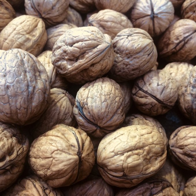 🌿 De intenso sabor y tamaño medio, la Nuez de Pedroso se caracteriza por su cáscara fina y lisa, en la que se aprecian diferentes tonalidades pardas en función de la variedad. Más en ow.ly/dmFh30q7Jwv Vía <a href="/riojacapital/">LA RIOJA CAPITAL</a>