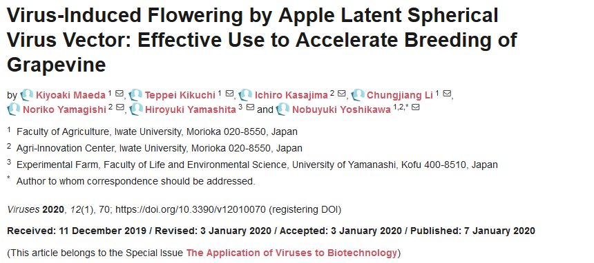VirusesMDPI's tweet photo. New article from Dr. Yoshikawa  has published in the special issue "The Application of Viruses to Biotechnology" for which @PMateratski @VarandaCarla are serving as Guest Editors. Please see at:  https://t.co/dYsCWQooD8 https://t.co/h9mlhBLbQM