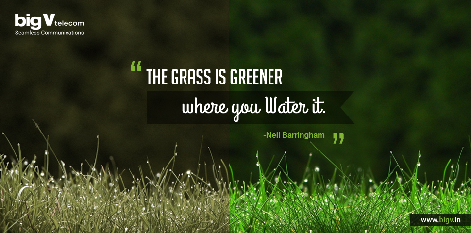 big_v_telecom's tweet photo. #quoteoftheday #grass #greener #water #NeilBarringham #BigVTelecom #quote https://t.co/KfYtkDapyh